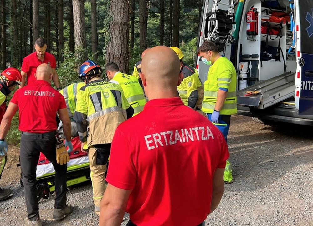 Langile batek istripua izan du Eskoriatzan, pinuak botatzen ari zela