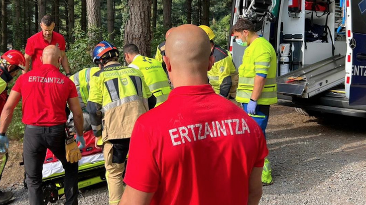 Langile batek istripua izan du Eskoriatzan, pinuak botatzen ari zela