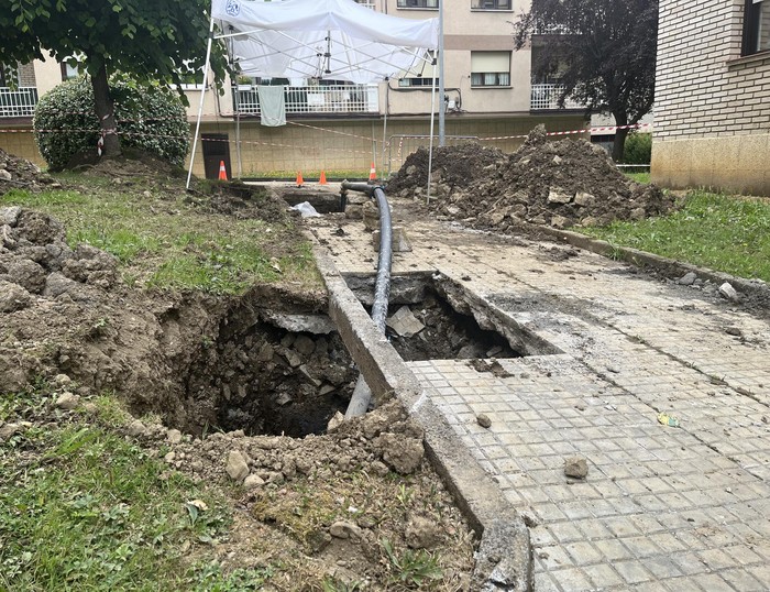 Lausittako hainbat ataritako ur-hornidurako sarea berrituko dute