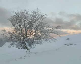 Elurra sendo gaur, Kurtzebarri mendian