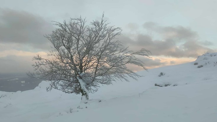 Elurra sendo gaur, Kurtzebarri mendian