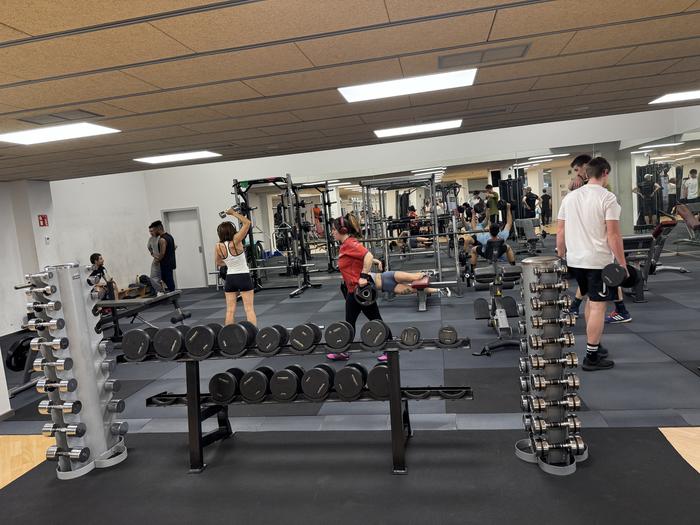 Asteko entrenamendua nola antolatu ikasteko saioa, gimnasioan