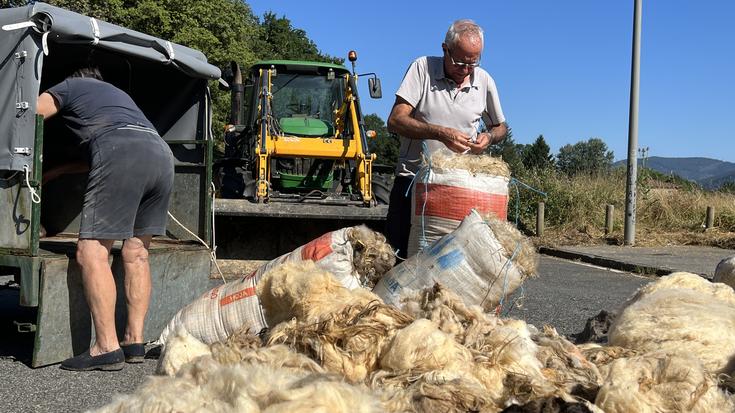 Artile bilketa sistema doakoa eta saka berezietan batutakoa izango da aurten