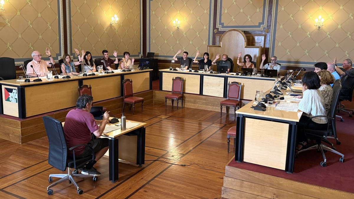 Bergara-Bizi ekimeneko bonu-laguntza baterako ordenantza berria, aho batez