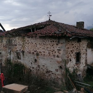 Zaharberritzeak