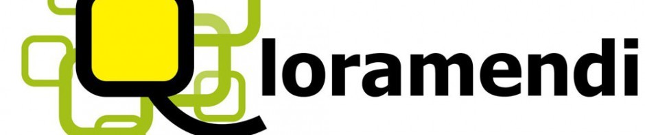 Loramendi Euskara Elkartea hezitzaile  bila dabil