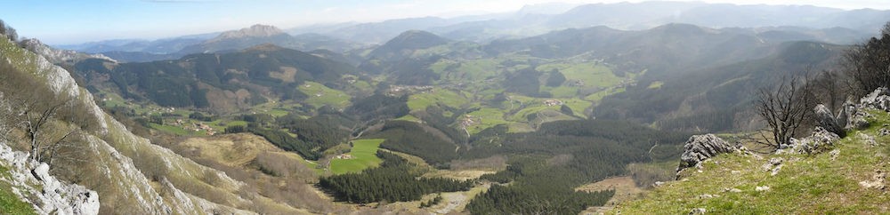 Blog honen zentzuaz