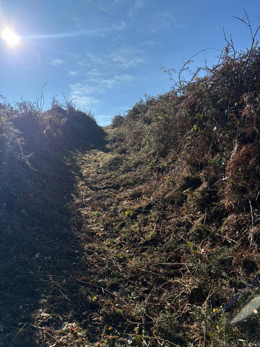 Bidea garbitzen, Gatza Trail probarako