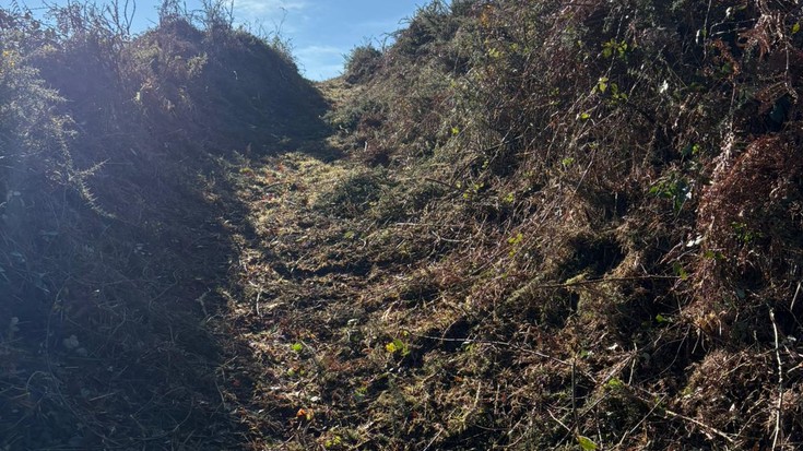 Bidea garbitzen, Gatza Trail probarako