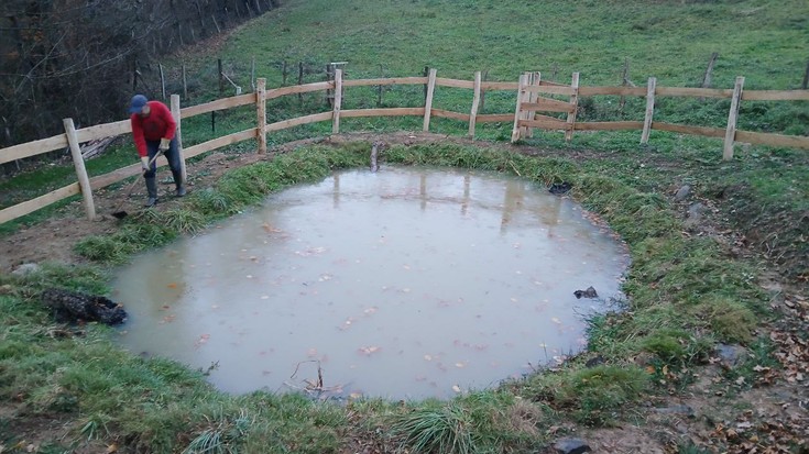 Zuhaitzak landatuko dituzte domekan Askatsuko urmaelaren inguruan