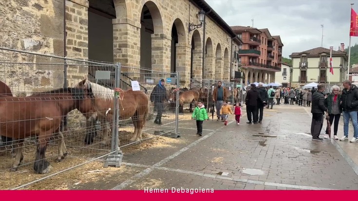 'Hemen Debagoiena': Abereekin eta ekoizleen postuekin ospatu dute San Isidro feria Antzuolan