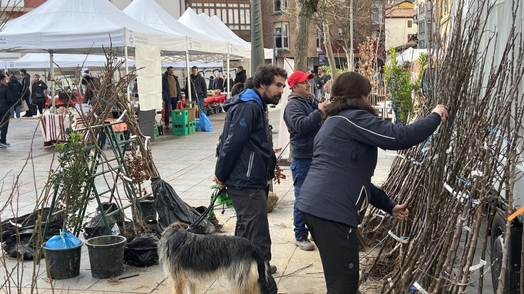 Askotariko zuhaitz eta landareak erosteko aukera egon da Arrasaten