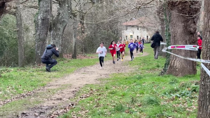 Gipuzkoako eskolarteko krosa, San Martin auzoko zuhaiztian