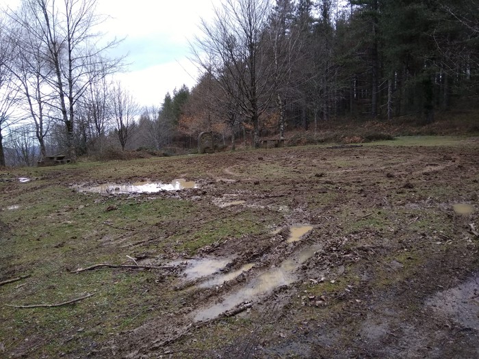 Naturari balioa emateko, elkarlana abiarazi dute