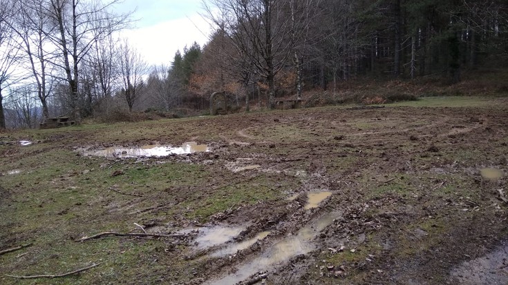 Naturari balioa emateko, elkarlana abiarazi dute