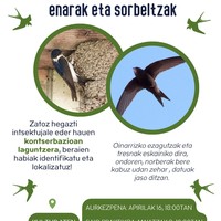 Enaren eta sorbeltzen kontserbazioa