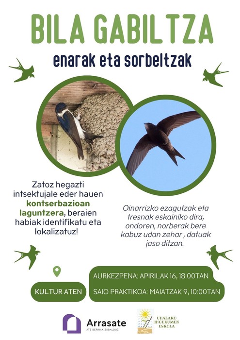 Enaren eta sorbeltzen kontserbazioa