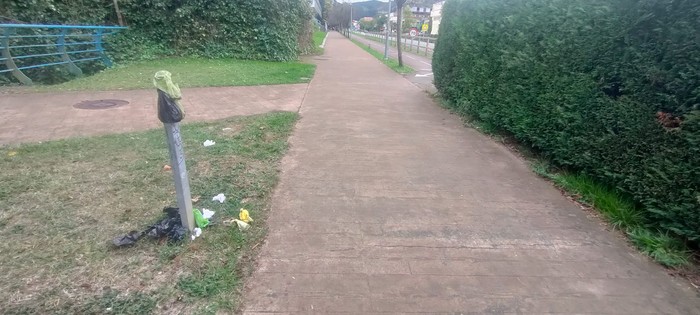 Zaborrontzia faltan, eta txakur kaka-poltsak jaso gabe