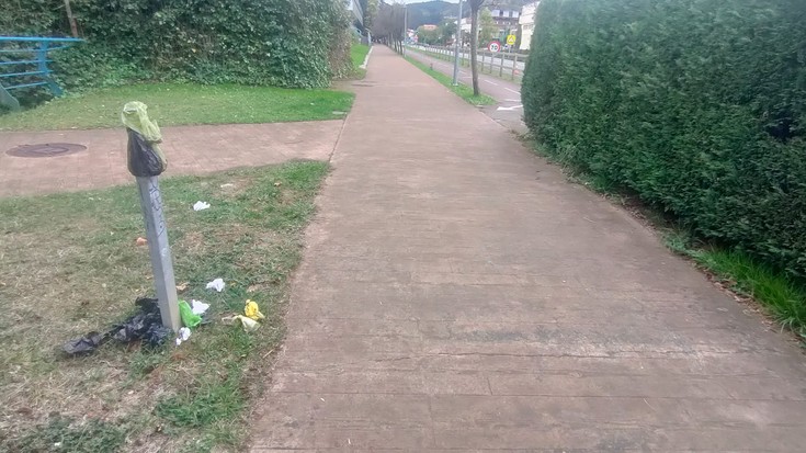 Zaborrontzia faltan, eta txakur kaka-poltsak jaso gabe