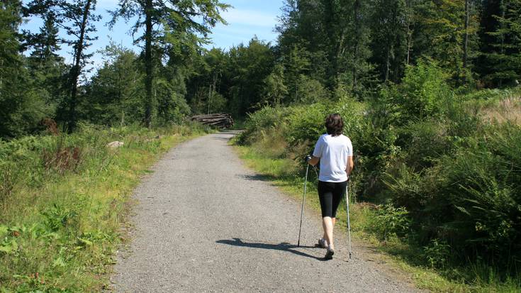 Ibarra kiroldegiko udako eskaintzak: igeriketa gaztetxoendako eta nordic walking