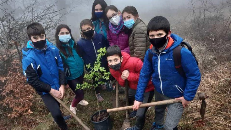 Basoko sagar eta madari landareak landatu dituzte Durun