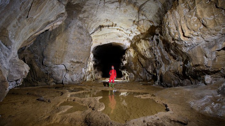 Historiaurreko animaliak ikusiko dituzte domekan Arrikrutzen