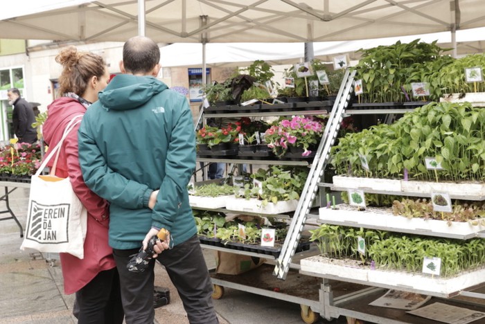 Loreak eta ortuko landareak maiatzeko bertako produktuen azokan