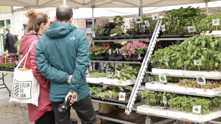 Loreak eta ortuko landareak maiatzeko bertako produktuen azokan