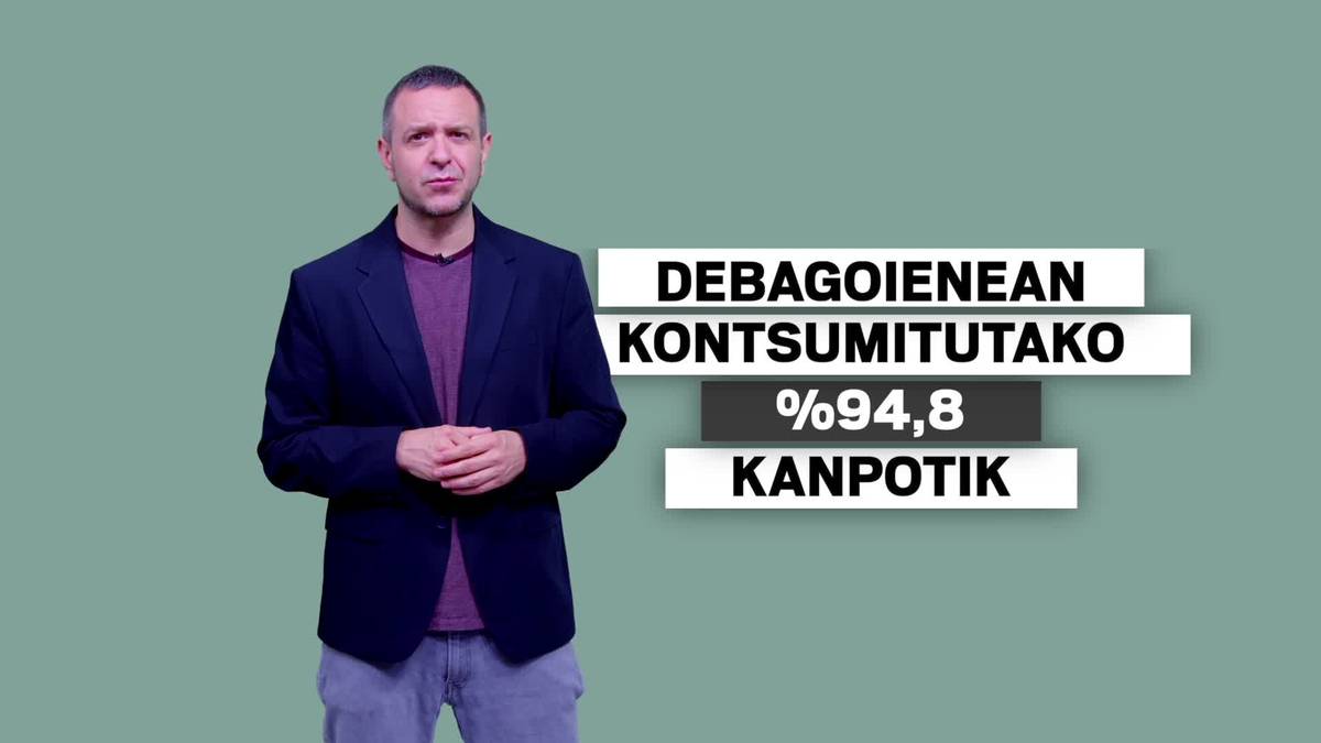 Bailarako energiaren kontsumoaren erdia industriak egiten du