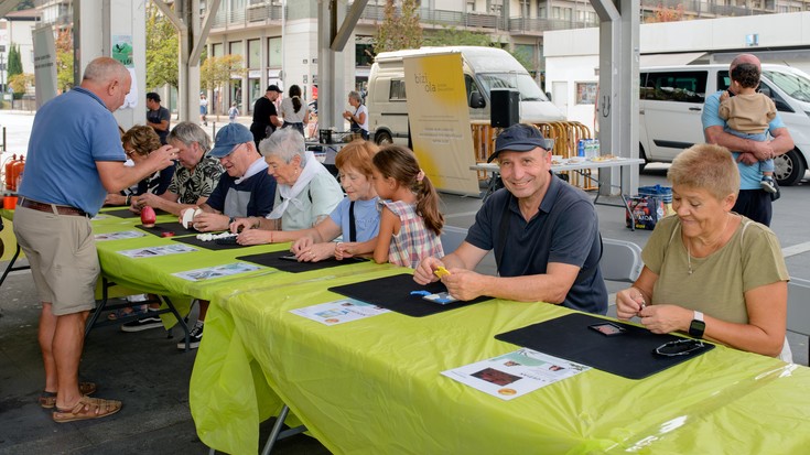 Puzzleen eta buru-hausgarrien arrakasta, Arrasateko Nagusien Astearen barruan
