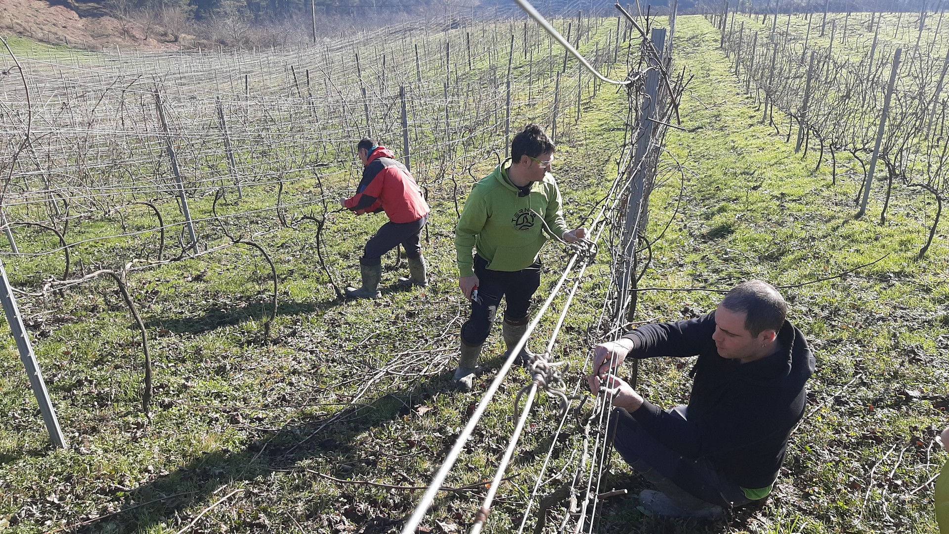 Landa eremuan ekintzailetasuna eta elkarlana sustatzeko ekimena, abian