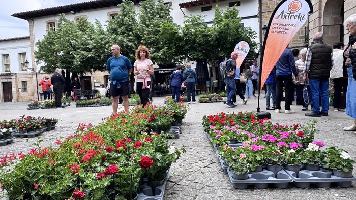 Limoiondoak ere ondo saldu dira Eskoriatzako lore azokan