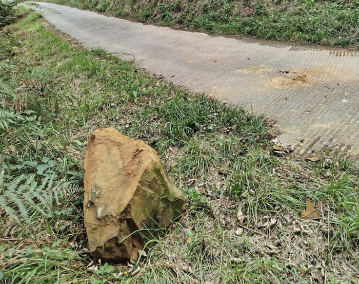 Harritzarra erori da Azulako bidera, eta arriskua sortu
