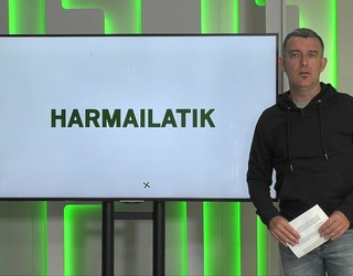 'Harmailatik': Eztala berrituko lehen partidua; Amarians errugbi torneoa; Jesus Mujika Errastiren liburu aurkezpena
