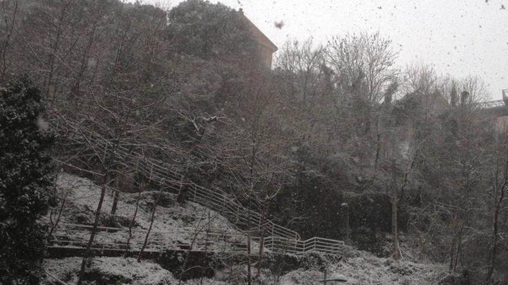 Gauerdian aktibatuko du Arrasateko Udalak elurteen protokoloa