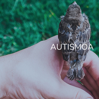 Autismoaren gaineko hitzaldi saioa