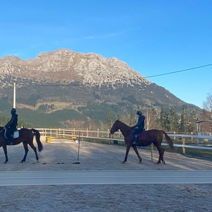 Zaldian ibiltzeko ikastaroak