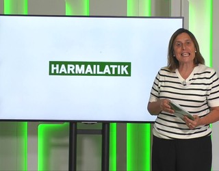 'Harmailatik': Bergarak irabazi Herriartekoan; eskubaloiaren bueltako eguna Arrasaten; eta kadete mailako txirrindularitza probak