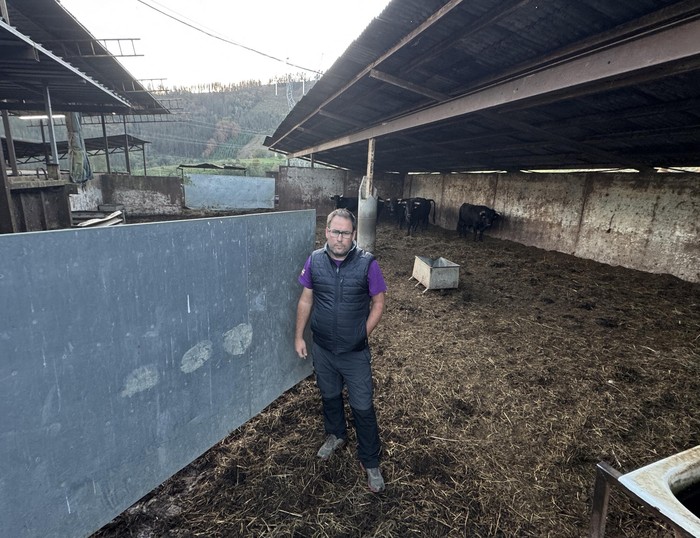 Hil egingo dituzte abelburuak