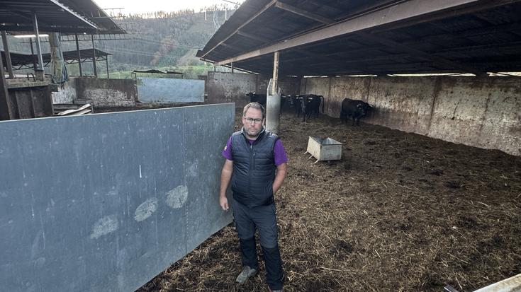 Hil egingo dituzte abelburuak