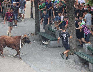 Sokamuturrak utzitakoak, argazkitan