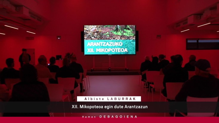 'Hemen Debagoiena' saioa osorik: 2025-11-17