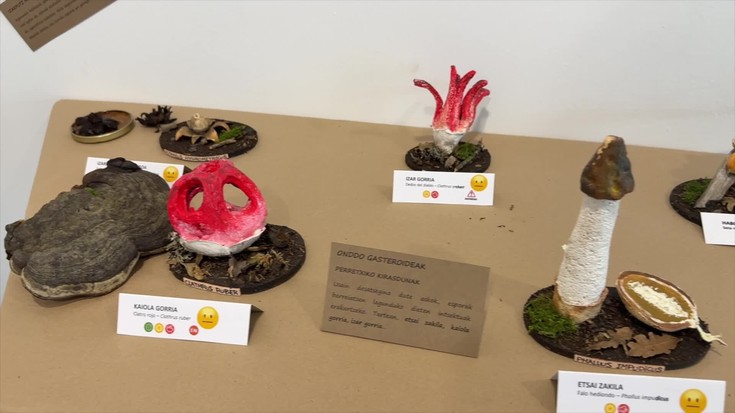 'Fungi? Onddo!' erakusketa; onddoen erreinura gerturatzeko aukera
