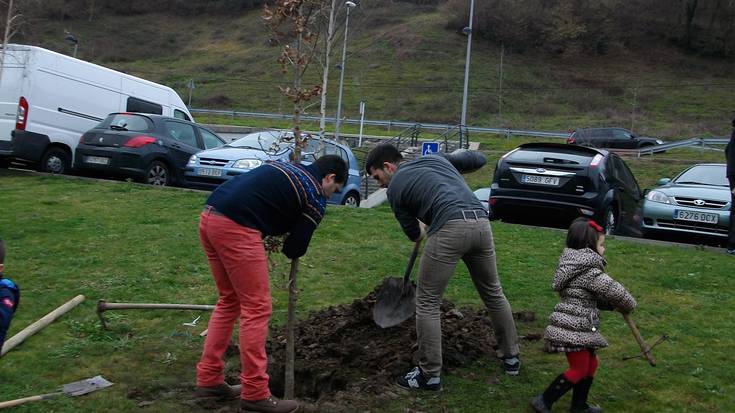 Zuhaitz Egunean haritzak eta urkiak sartu zituzten Elorretan