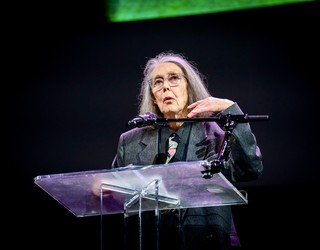 'The Beauty of the Husband' poema-liburua itzuli beharko da euskarara Jokin Zaitegi sariketan