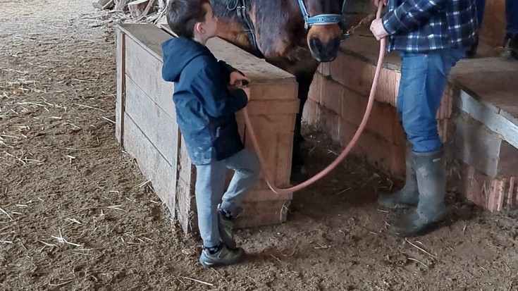 Pottokaleku: Bizi Pottoka