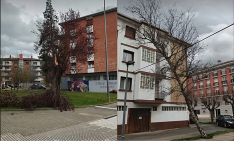 Haizeak zuhaitz eta adar asko bota ditu Aretxabaletan