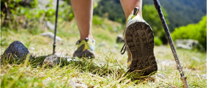 Arrasasoi programaren baitan, Nordic Walking ibilaldia