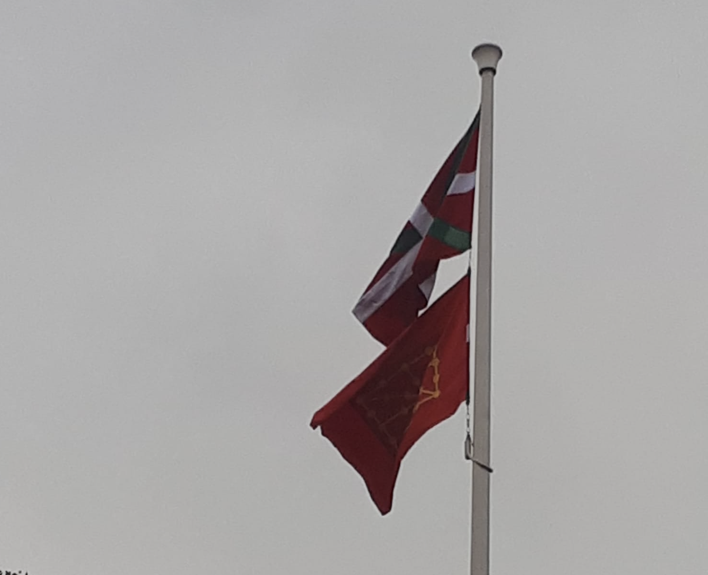 Nafarroako bandera jarri dute plazako mastan, ikurrinaren ondoan