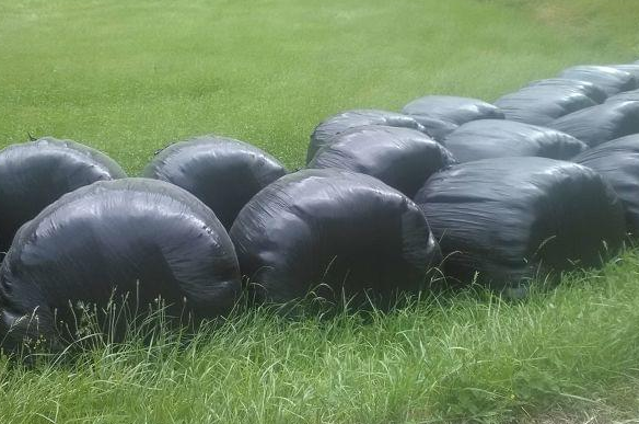 Baserri inguruan sortutako plastikoa jasotzeko bederatzi bilketa egingo dira 2018an